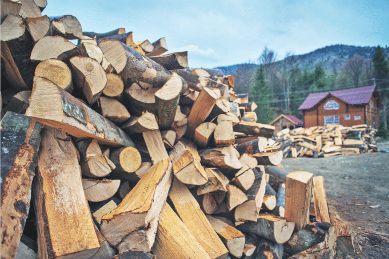 klapeja pinossa talo taustalla